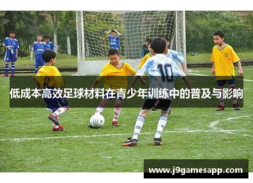 低成本高效足球材料在青少年训练中的普及与影响